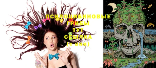герыч Алексин