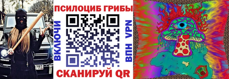 наркошоп  Бакал  Псилоцибиновые грибы Magic Shrooms 